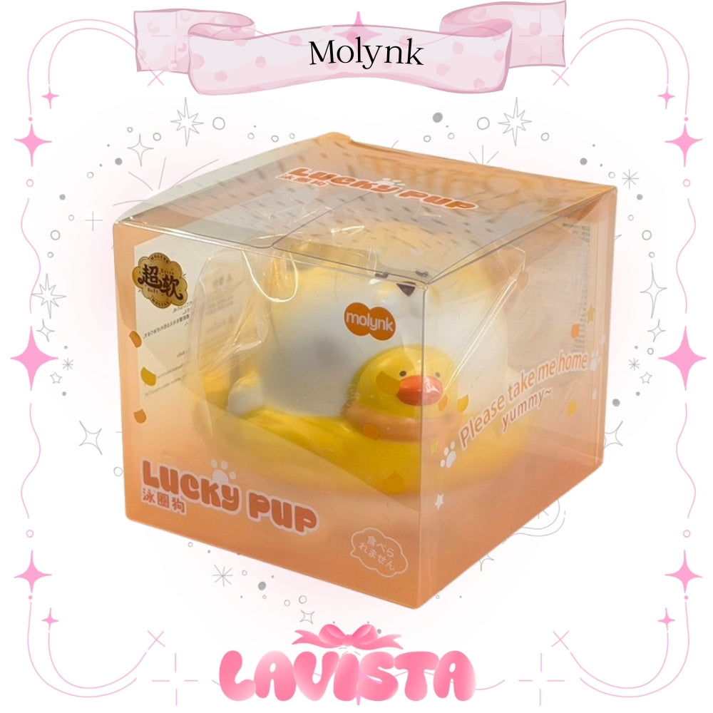 "Flooding Puddy" สกุชชี่แบรนด์ Molynk