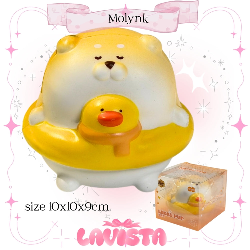 "Flooding Puddy" สกุชชี่แบรนด์ Molynk