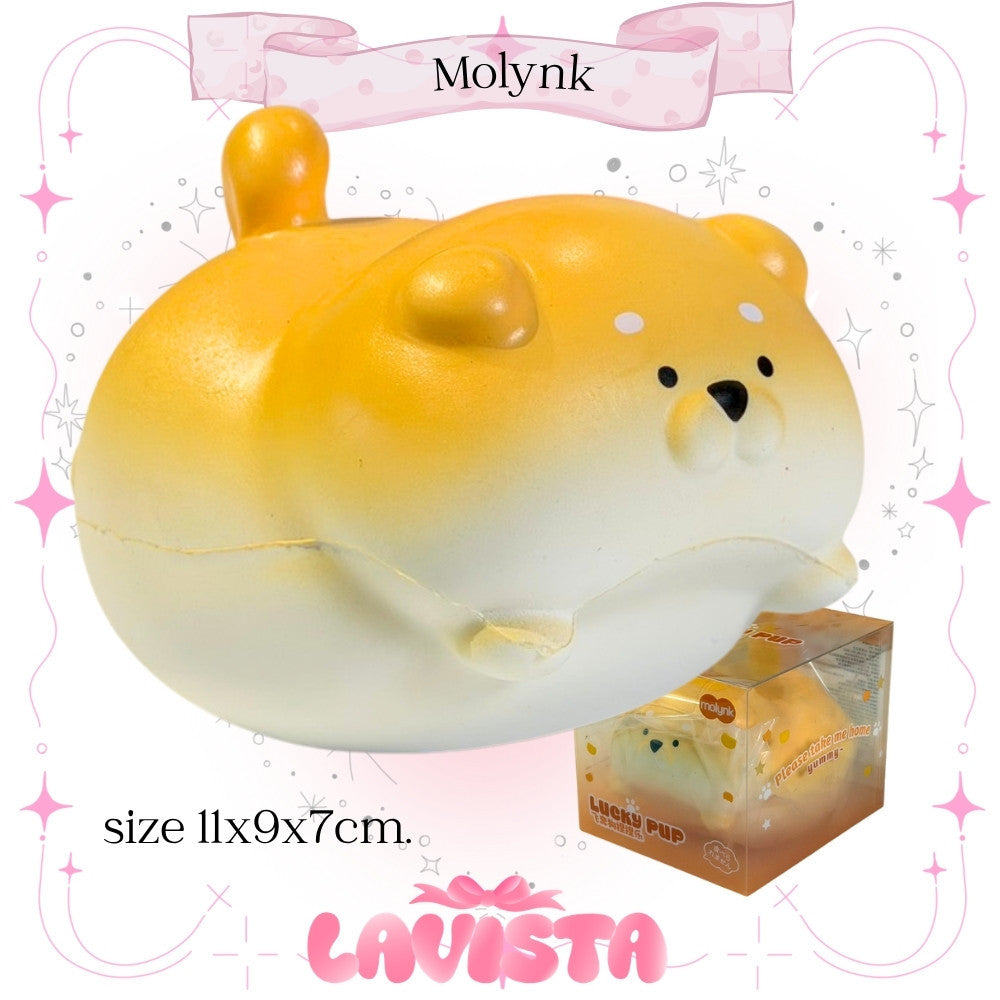 "Flying Puppy" สกุชชี่แบรนด์ Molynk